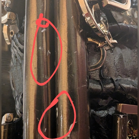 Versace Python Bag - Picture 6 of 16